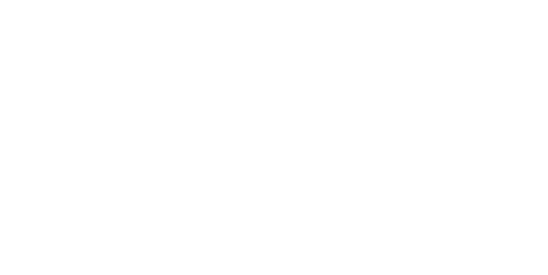 Homer HOUSEWATCH